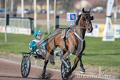 Harness racing in Sweden Editorial Stock Photo